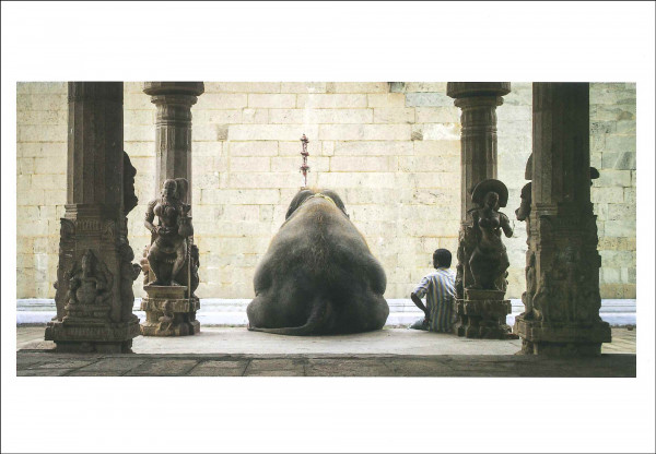 Postkarte 'Der Elefant und sein Mahout'