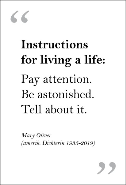 Postkarte 'Instructions for living a life'