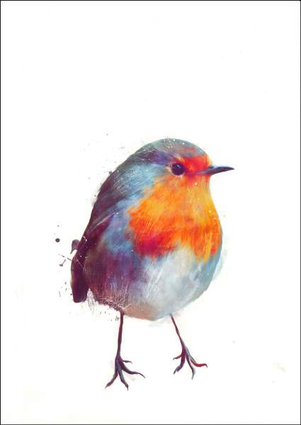 Postkarte 'Winter Robin'