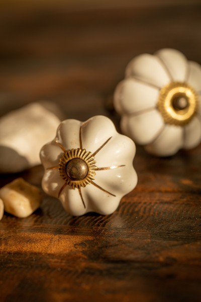 Knauf 'Blume', weiß, messing, Ø 3,5 cm, L 2,5 cm